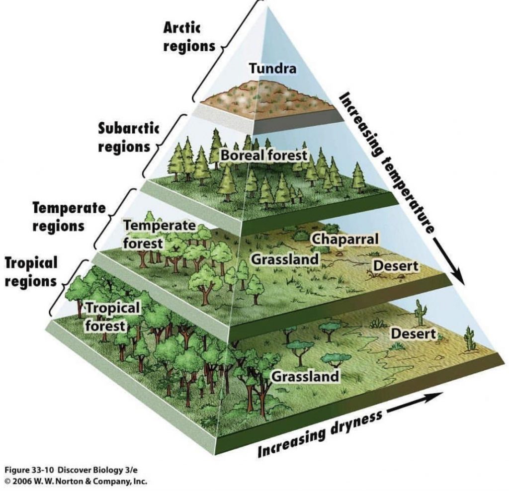 Biomes Visual for Fantasy Map Making